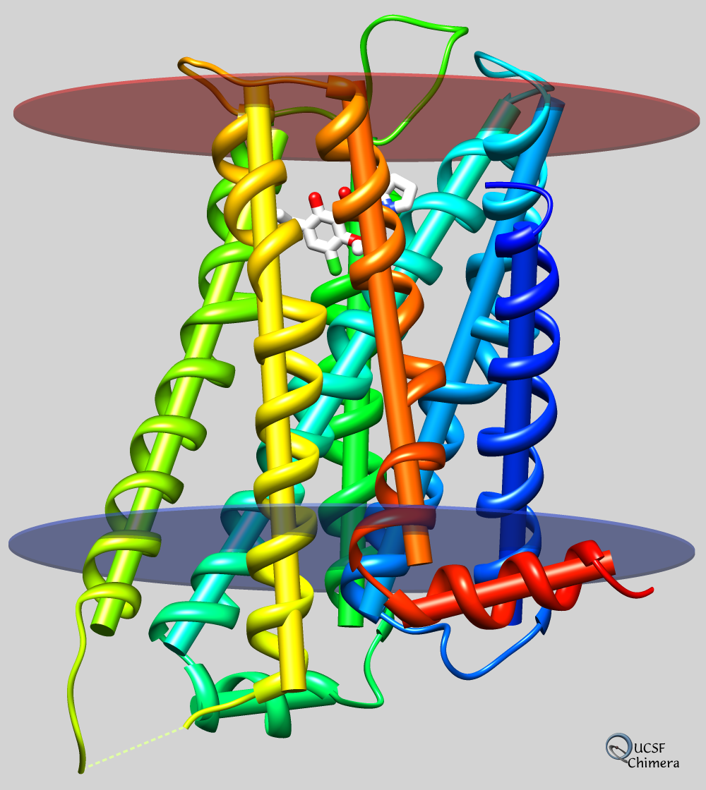 human D3 receptor, axes and planes