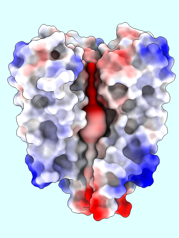 protein coloring by ESP, chain A hidden