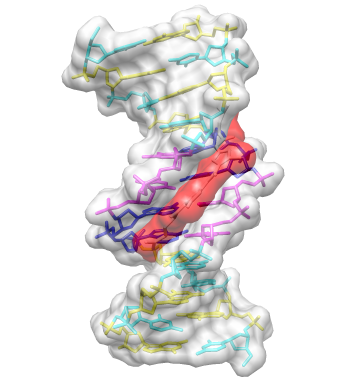 UCSF Chimera - DNA/Netropsin