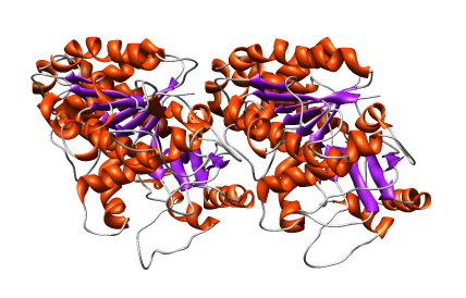 computer generated image