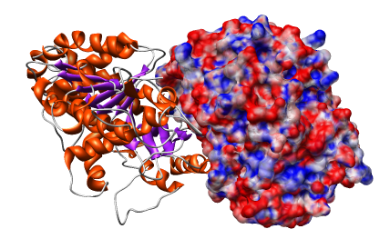 computer generated image