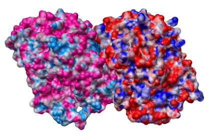 computer generated image