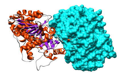 computer generated image