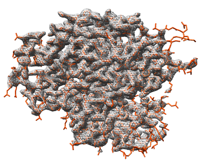 computer generated image