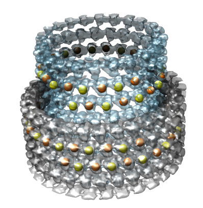 computer generated image