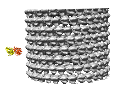 computer generated image