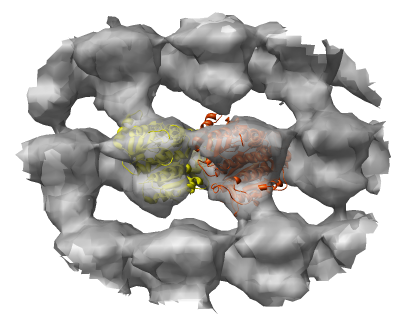 computer generated image