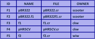 computer generated image