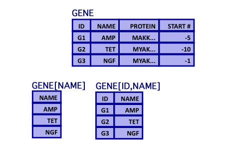 computer generated image