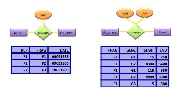 computer generated image