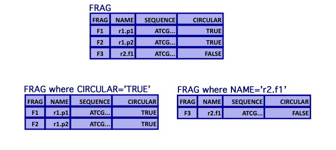 computer generated image