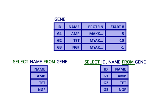 computer generated image