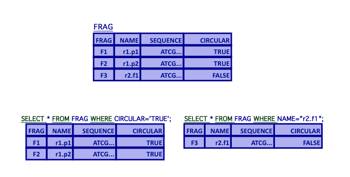 computer generated image