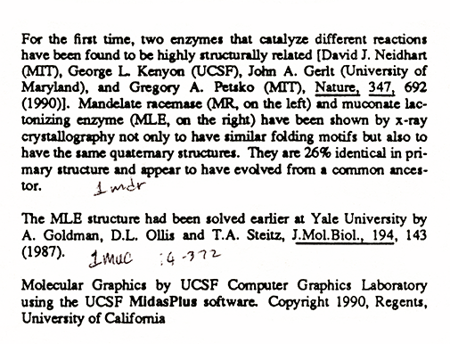 computer generated image