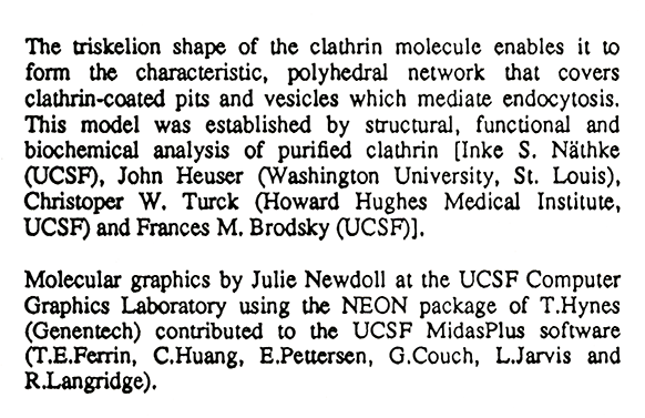 computer generated image