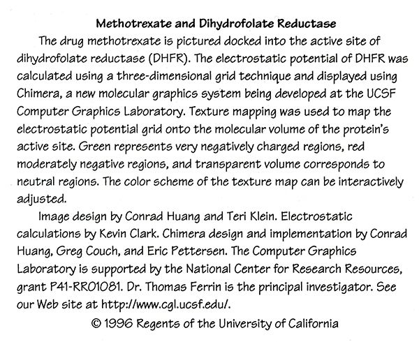 computer generated image