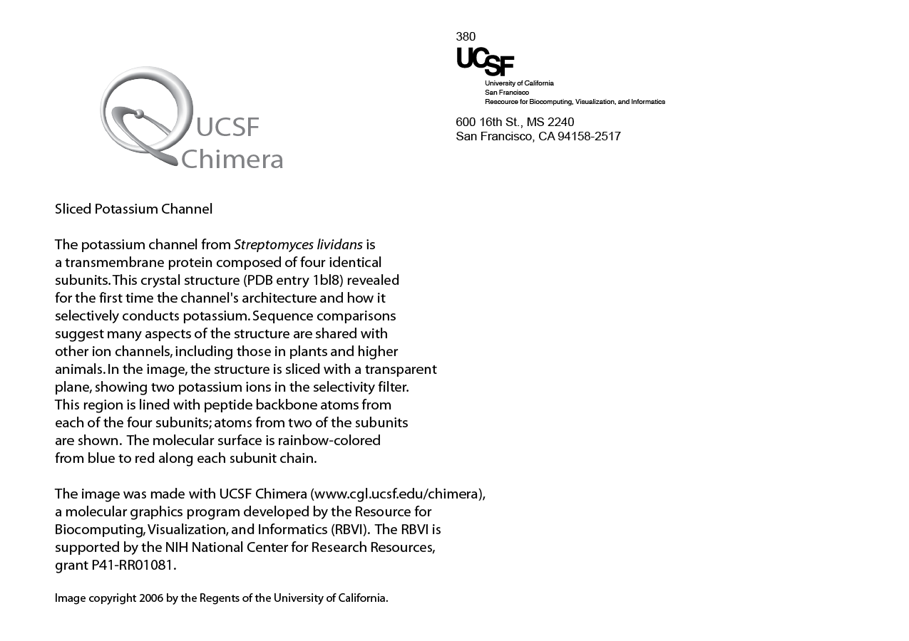 computer generated image