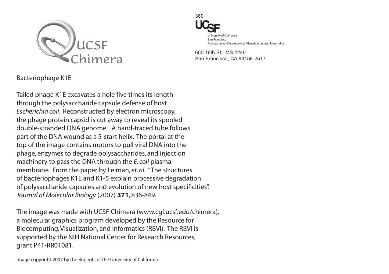 computer generated image