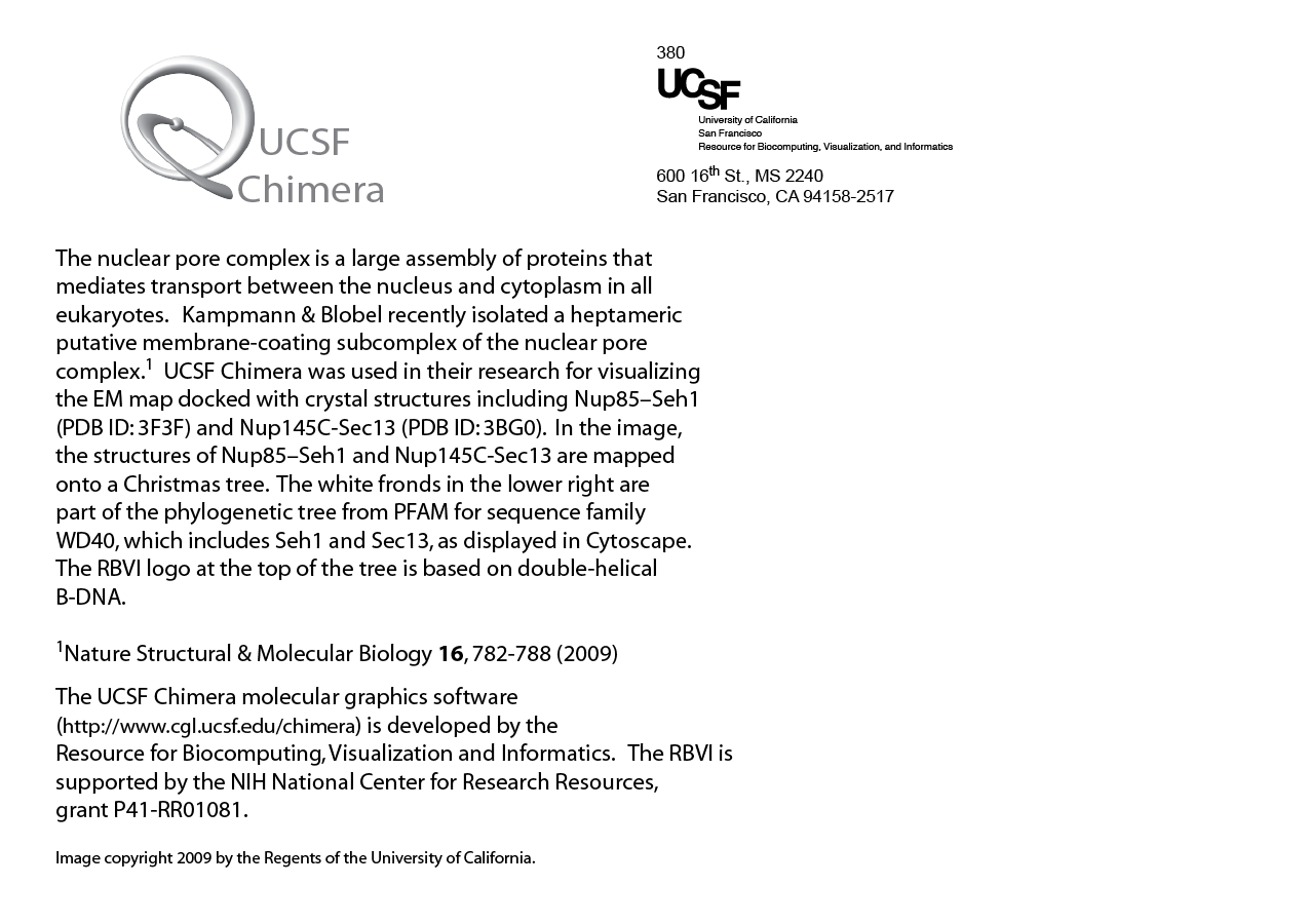 computer generated image