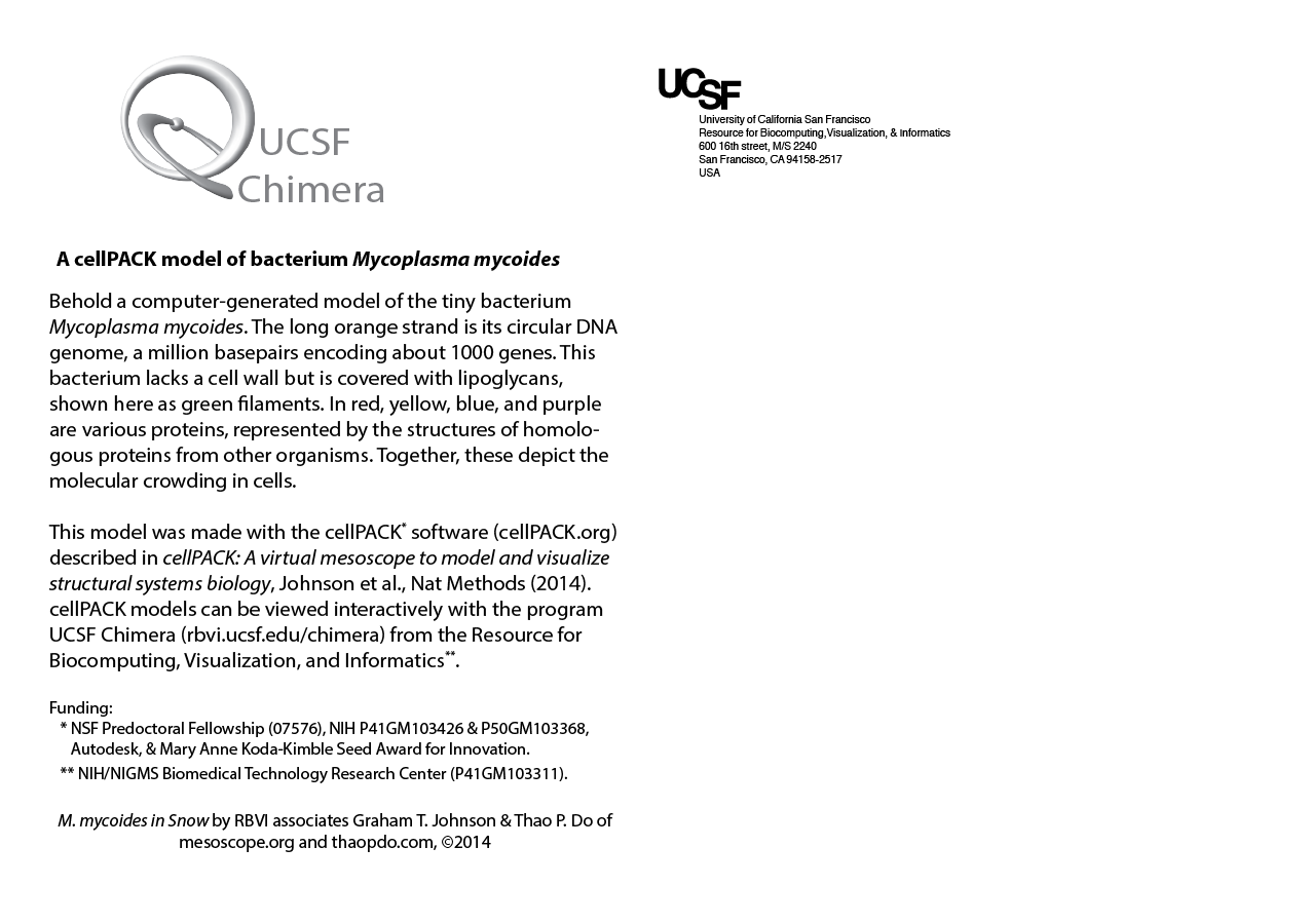 computer generated image