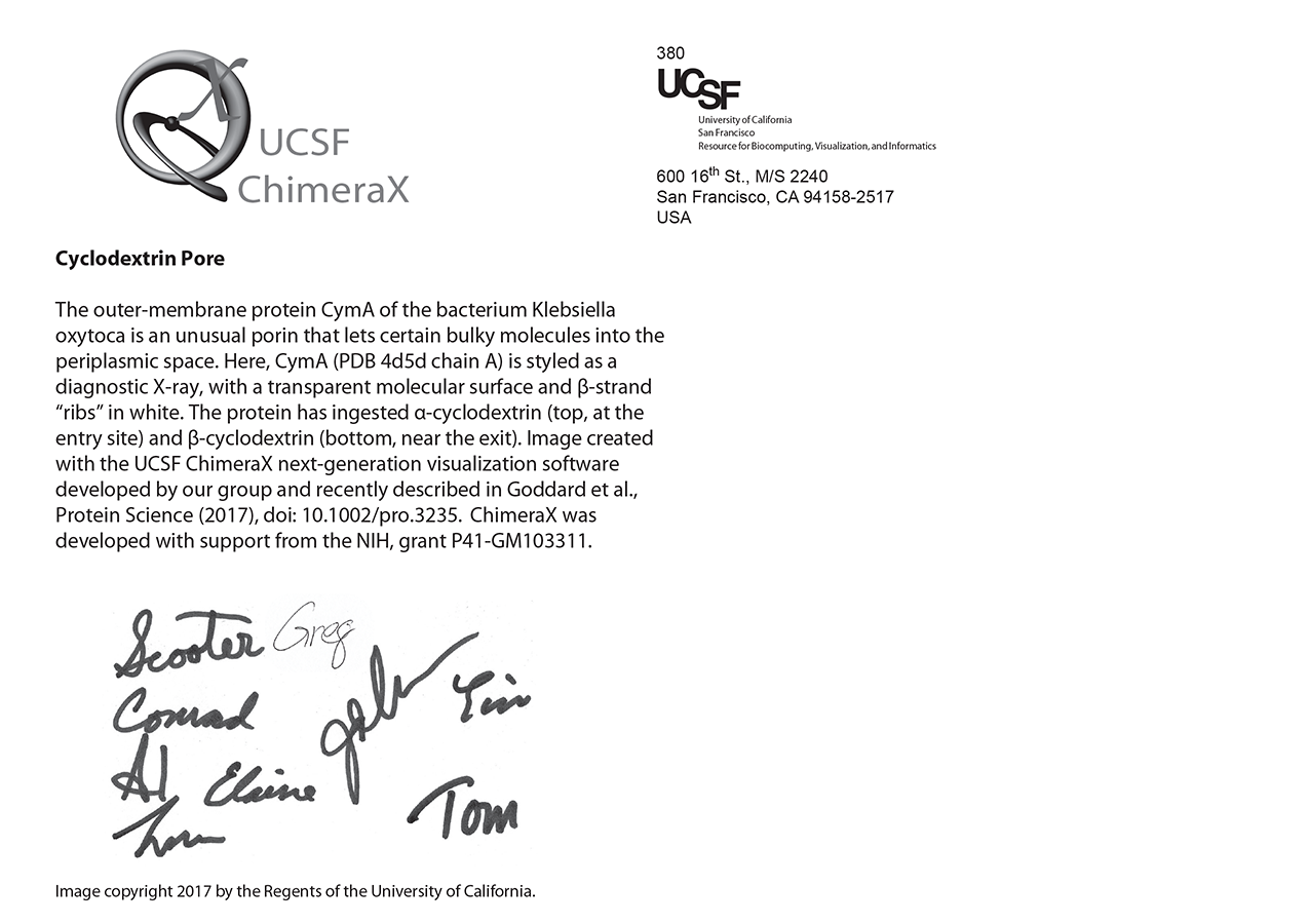 computer generated image