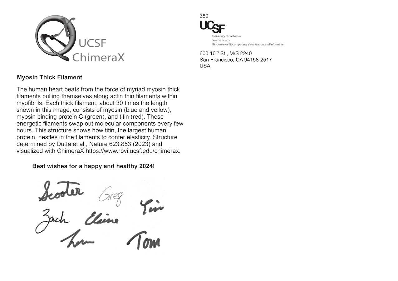 computer generated image