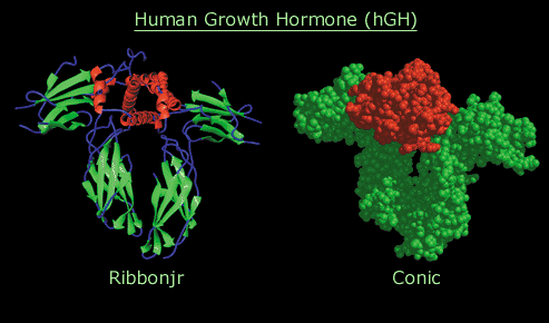 computer generated image