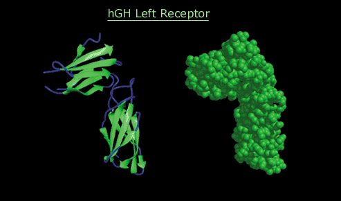 computer generated image