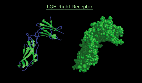 computer generated image