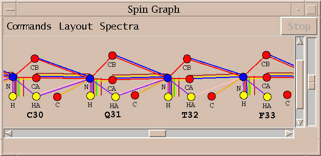 Spin Graph