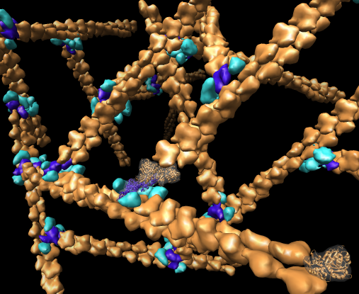 computer generated image