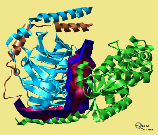 computer generated image