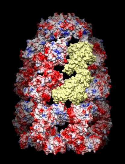 computer generated image