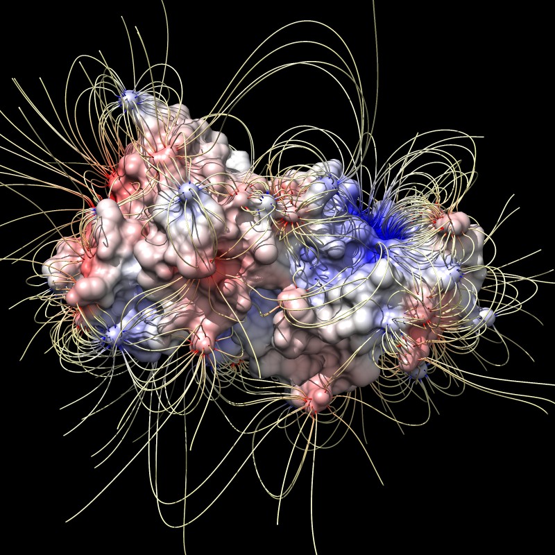 computer generated image