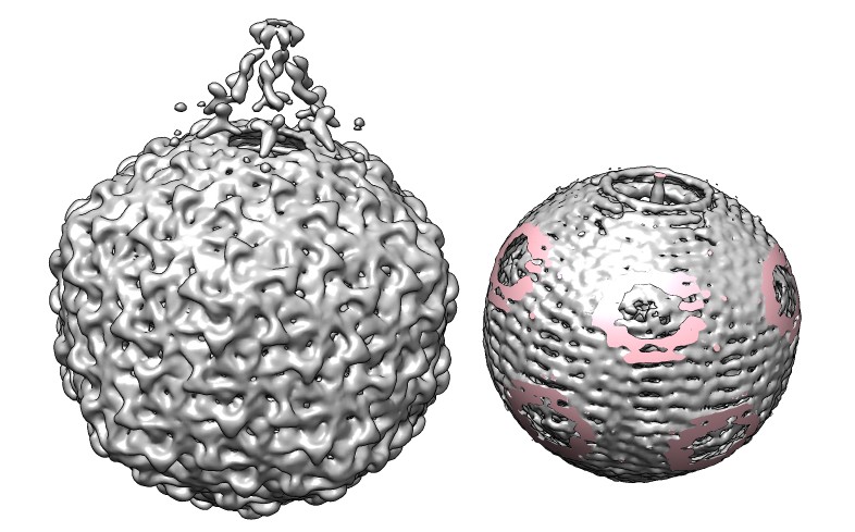 computer generated image