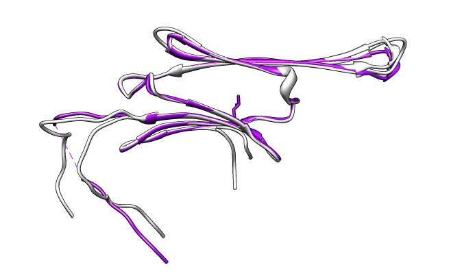 computer generated image