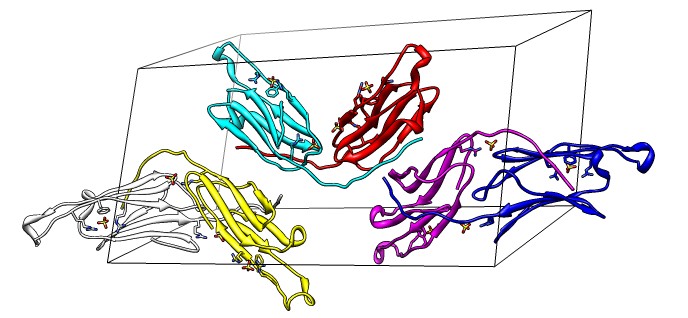 computer generated image