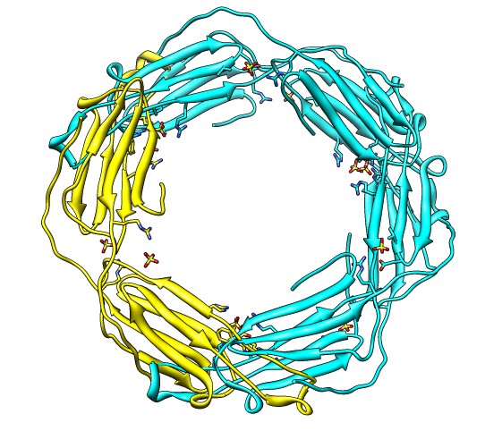 computer generated image