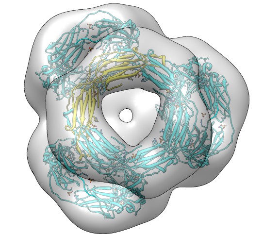 computer generated image