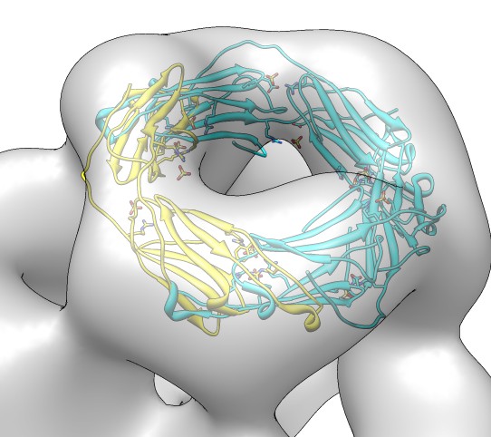 computer generated image