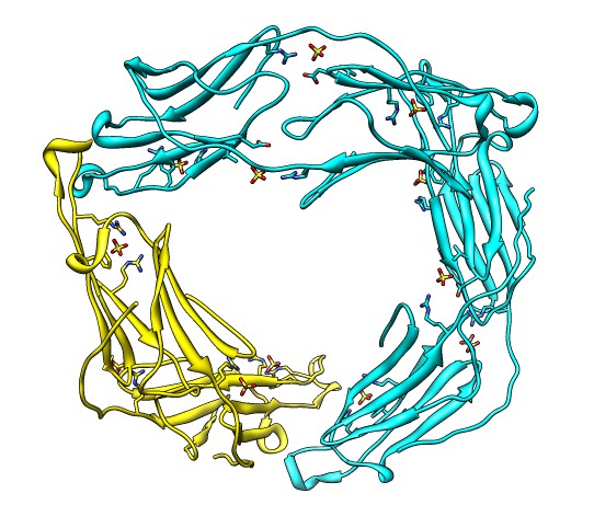 computer generated image