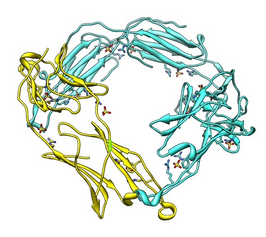 computer generated image