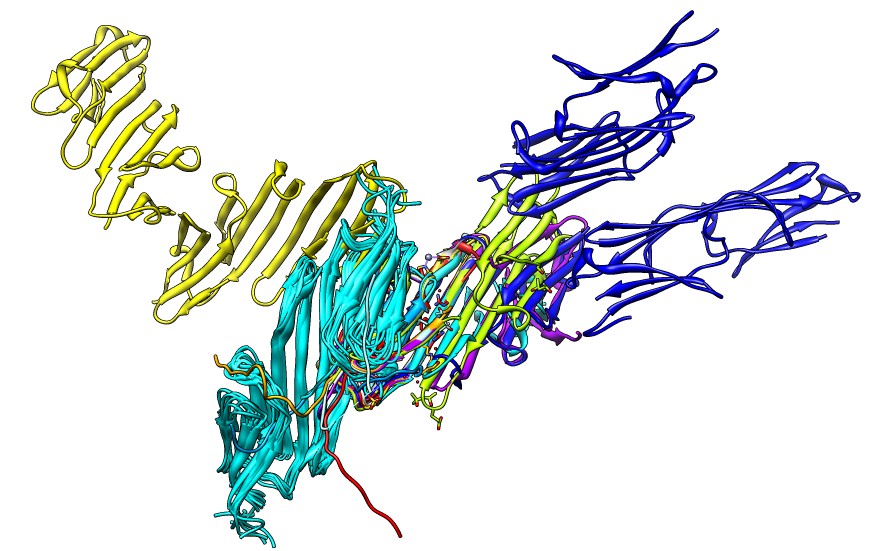 computer generated image