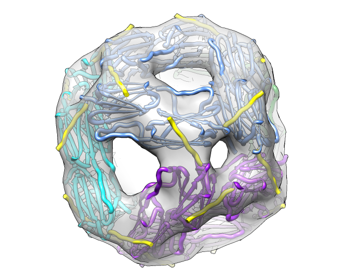 computer generated image