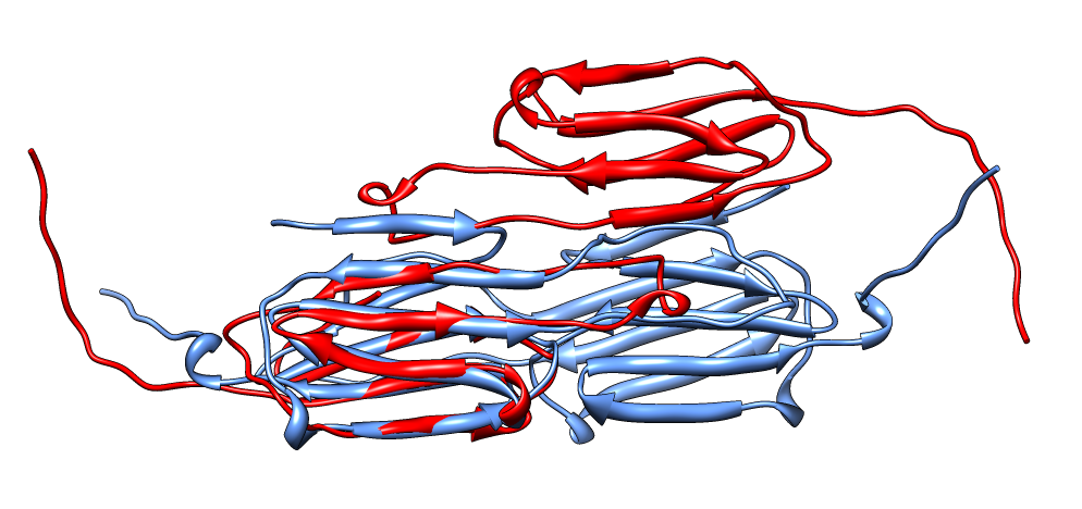 computer generated image