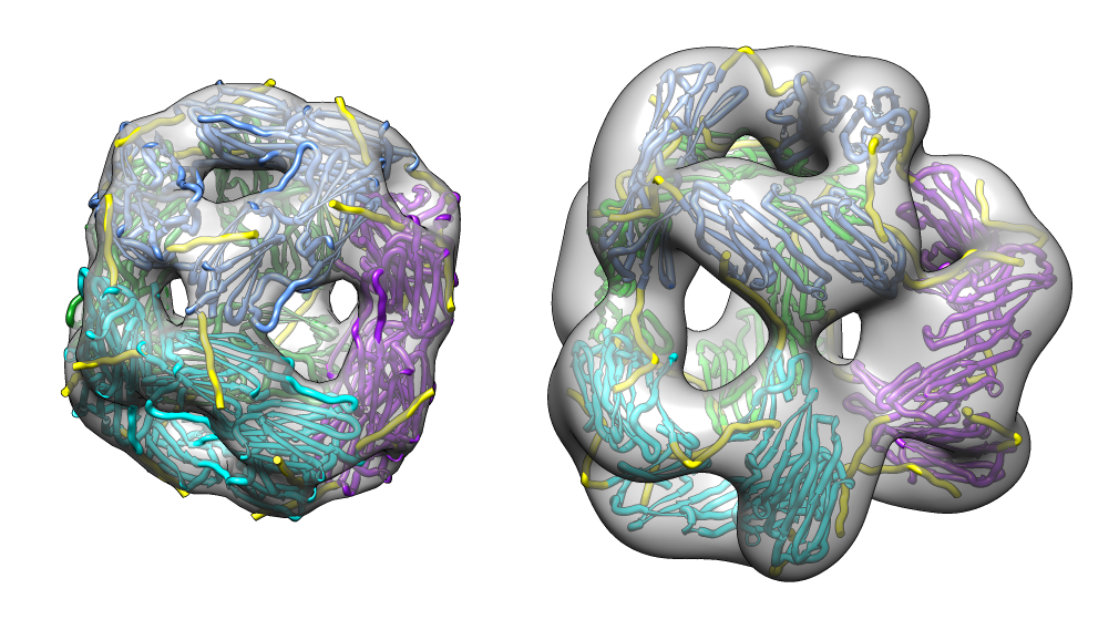 computer generated image