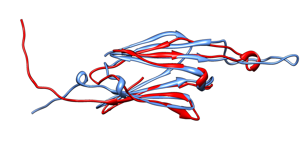 computer generated image