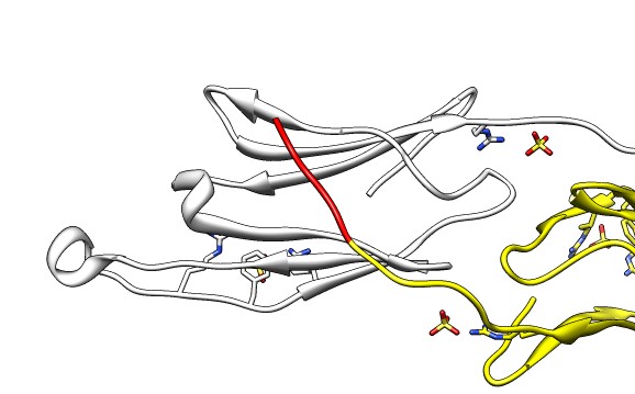 computer generated image