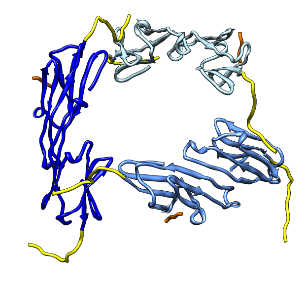 computer generated image