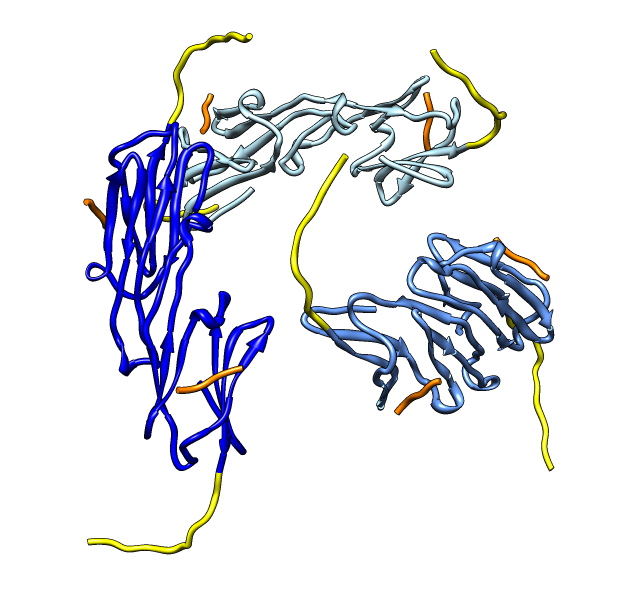 computer generated image